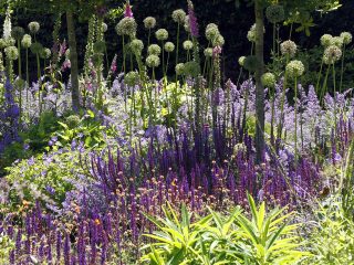 Copper Moongate Garden