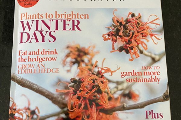 Gardens Illustrated December 2019