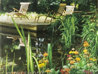 Pro Landscaper, June 2020