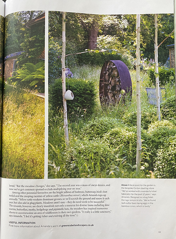 focal point log store