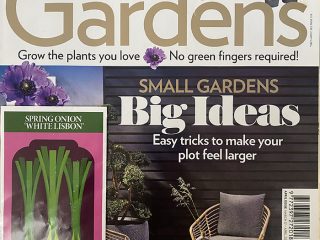Modern Gardens, April 2021