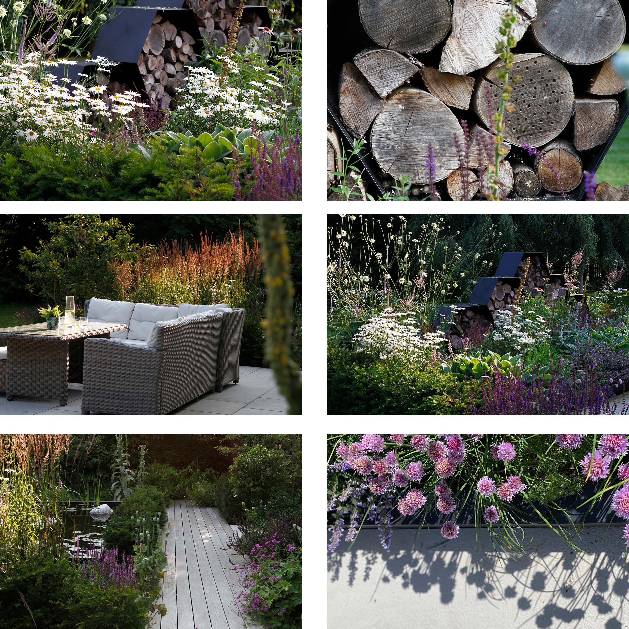 Nectar rich planting and homes for insects