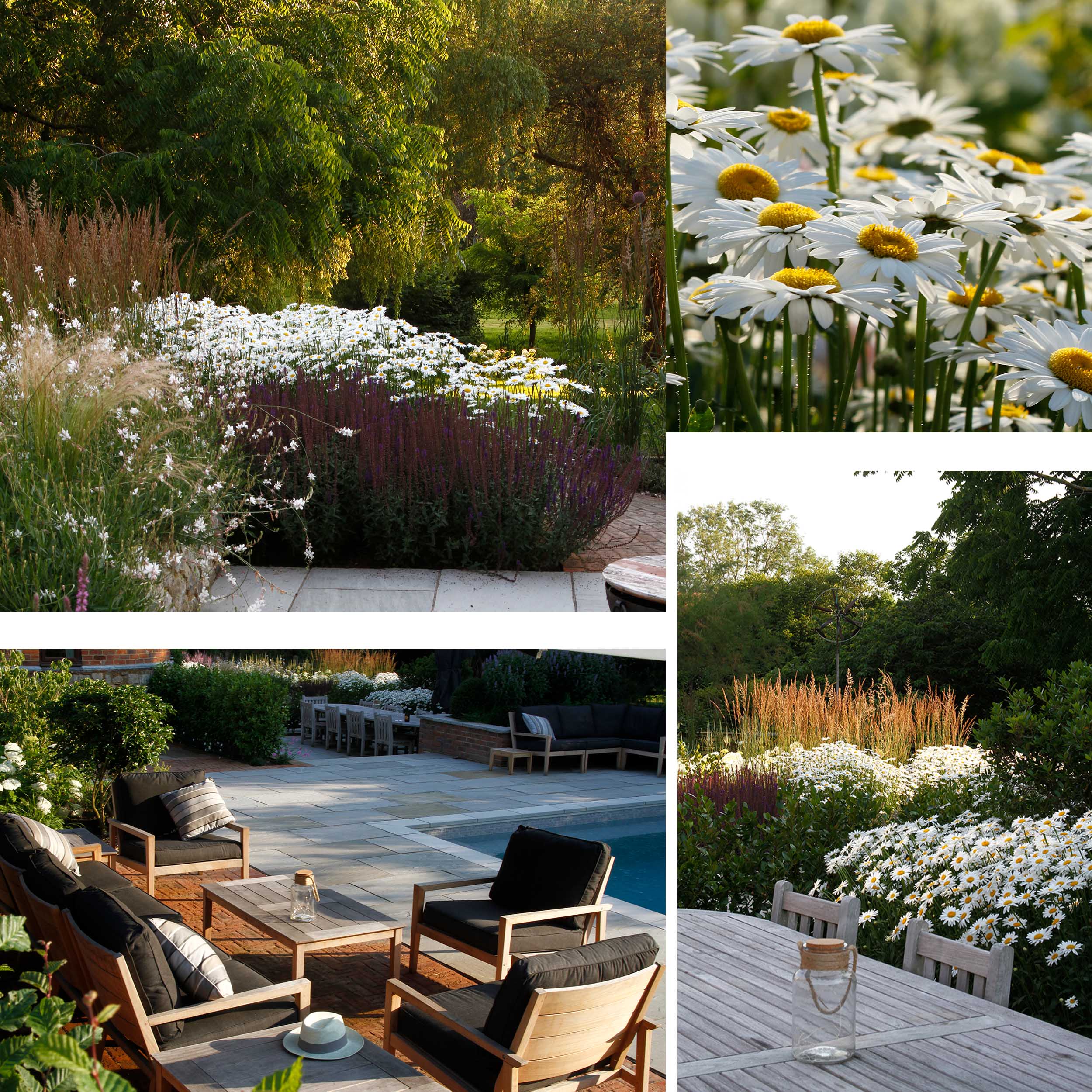 Summer flower borders surround the pool terrace