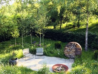 Beautiful Meadow Gardens