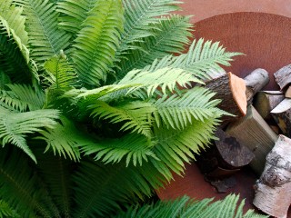 Norfolk Victorian Foundry