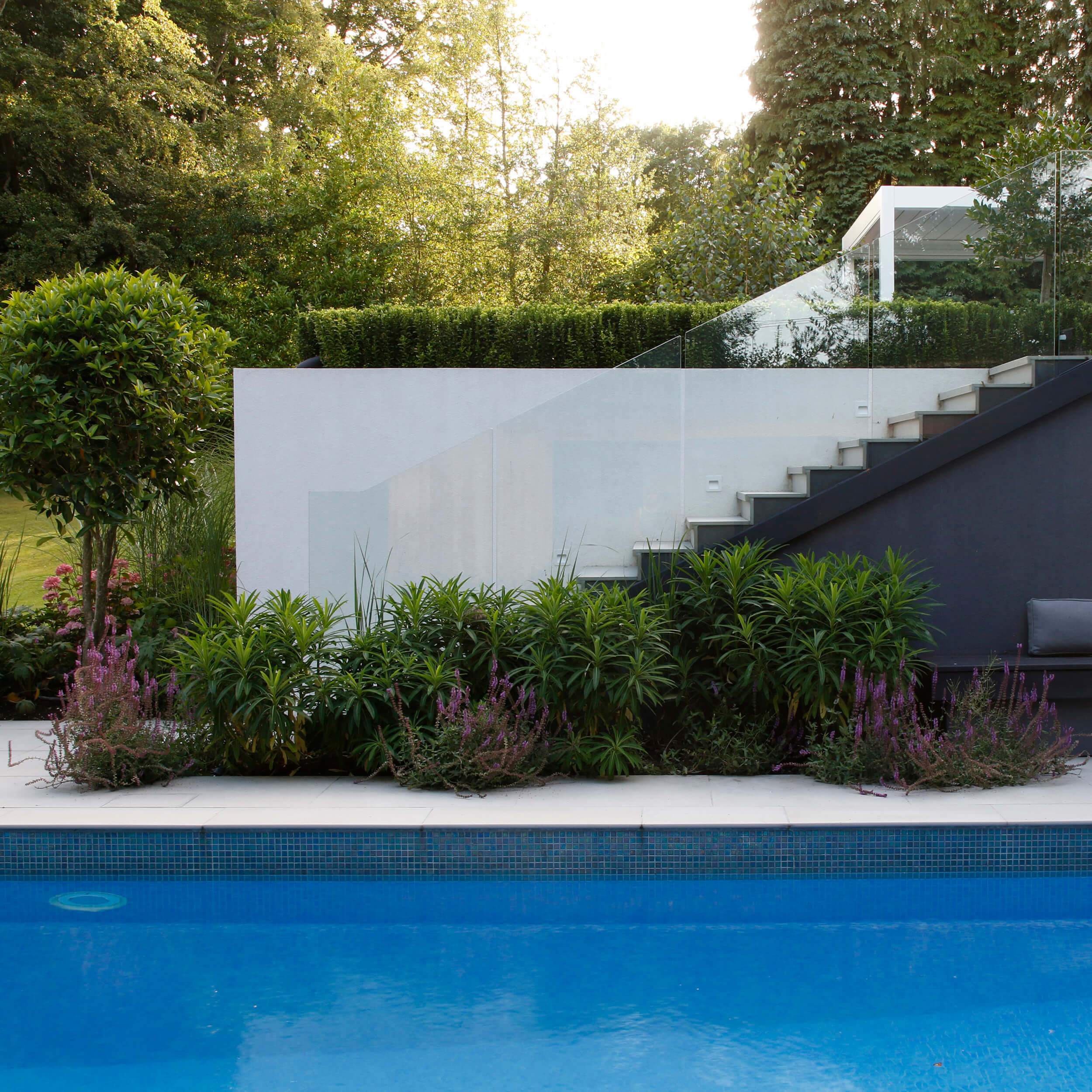 sleek grey steel steps contrast with white rendered walls, softened by structural green planting beside the Mediterranean-blue pool