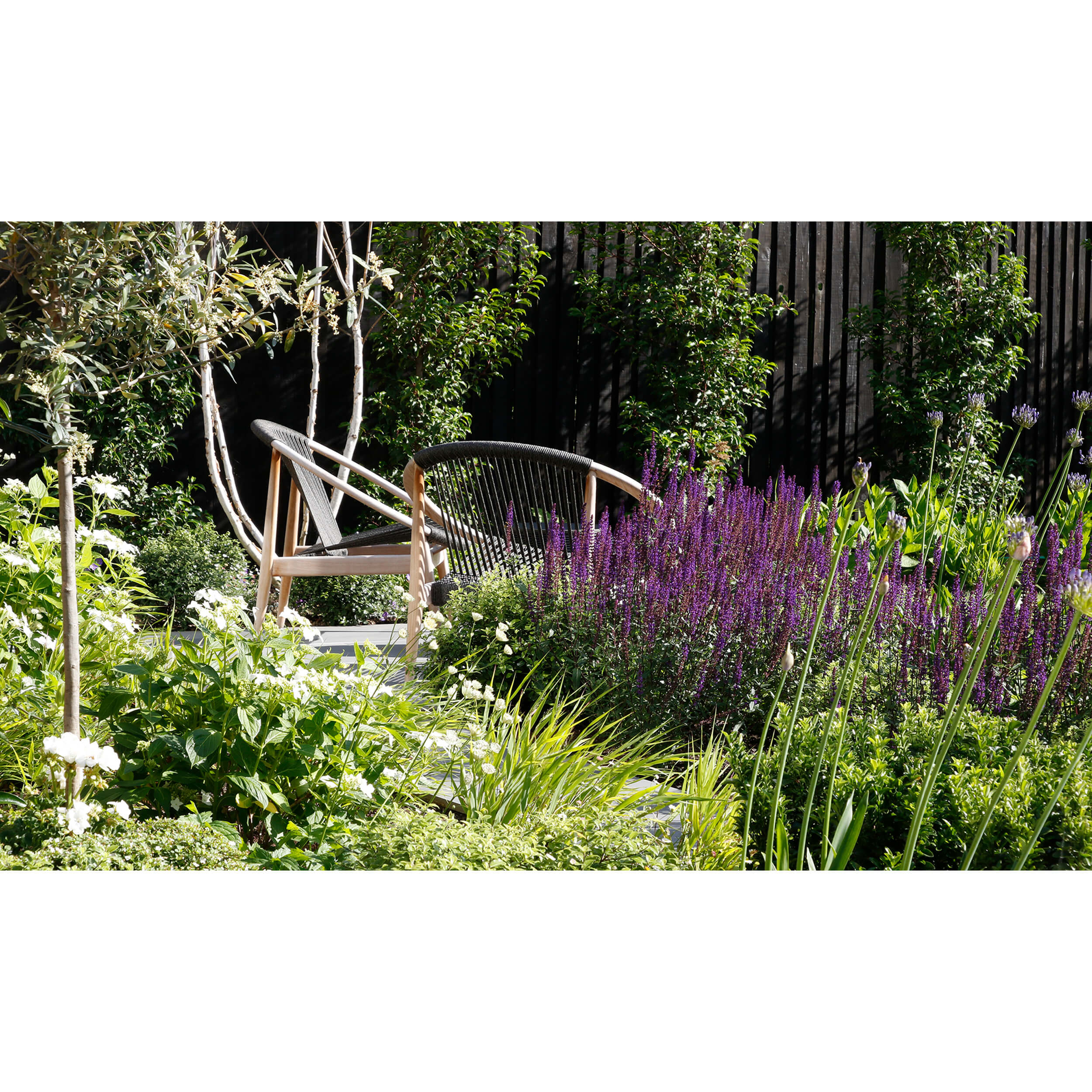 Planting beds filled with colour and form envelope a sunny place to sit and relax
