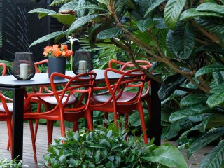Lush Tropical Planting