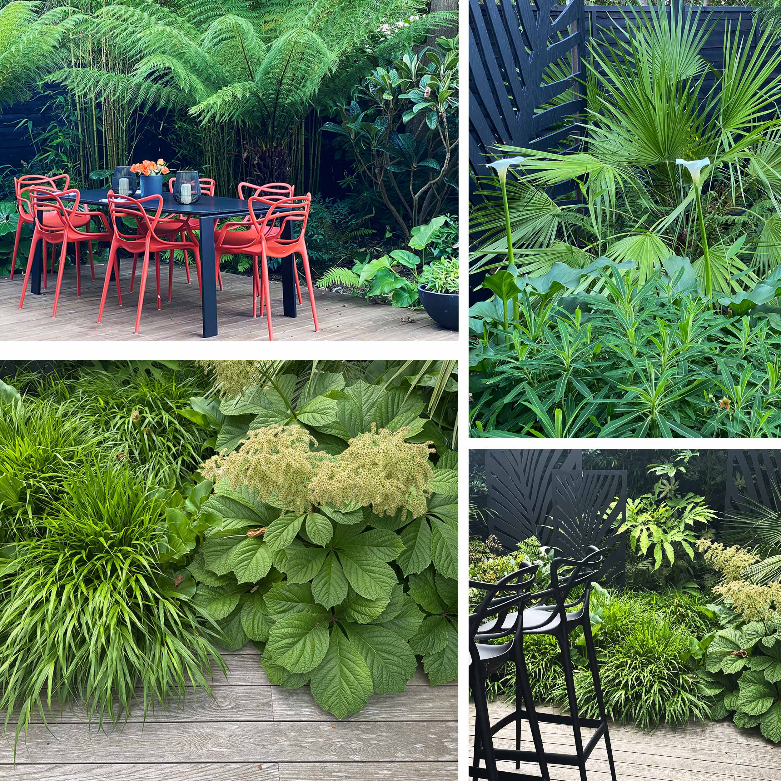 Lush tropical planting fills this garden with shades of green, textural leaves and shade