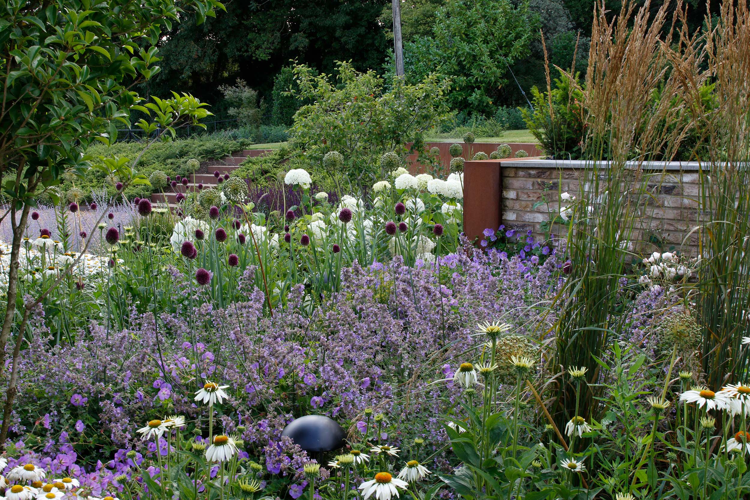 Corten steel steps lead through the planted beds to the lawn above
