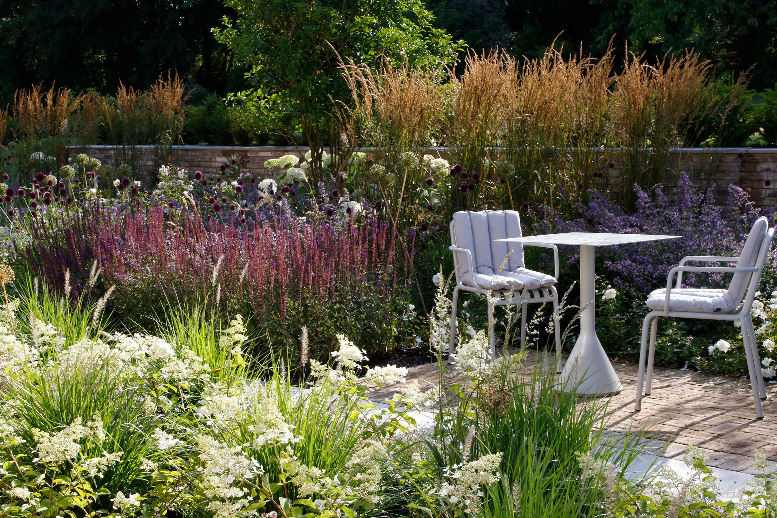 The early morning sun catches the grasses and purple salvias