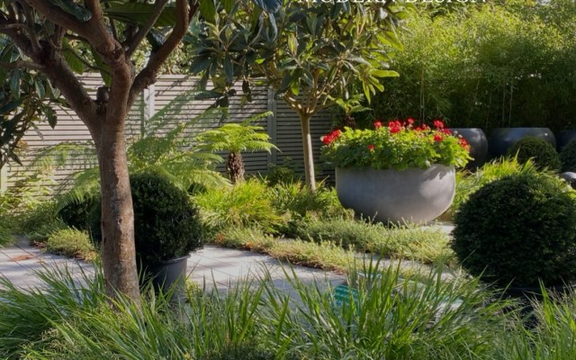 Lush modern garden with trees, round planters, and manicured shrubs; overlay reads 'MODERN DESIGN'.