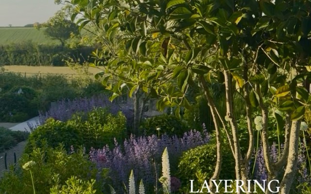 Garden scene with a tree and layered flowering border; text overlays read 'LAYERING' and 'Greencube Design'
