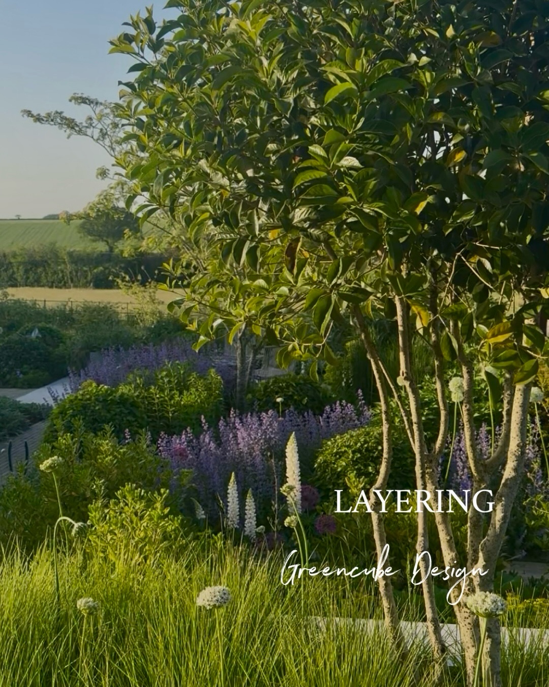 Garden scene with a tree and layered flowering border; text overlays read 'LAYERING' and 'Greencube Design'