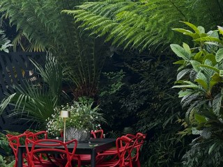 Highlights from a recent visit to our garden in Kings Hill, Kent.